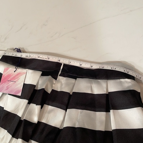 Chicwish Striped Pleated A-line Skirt - Picture 6 of 6